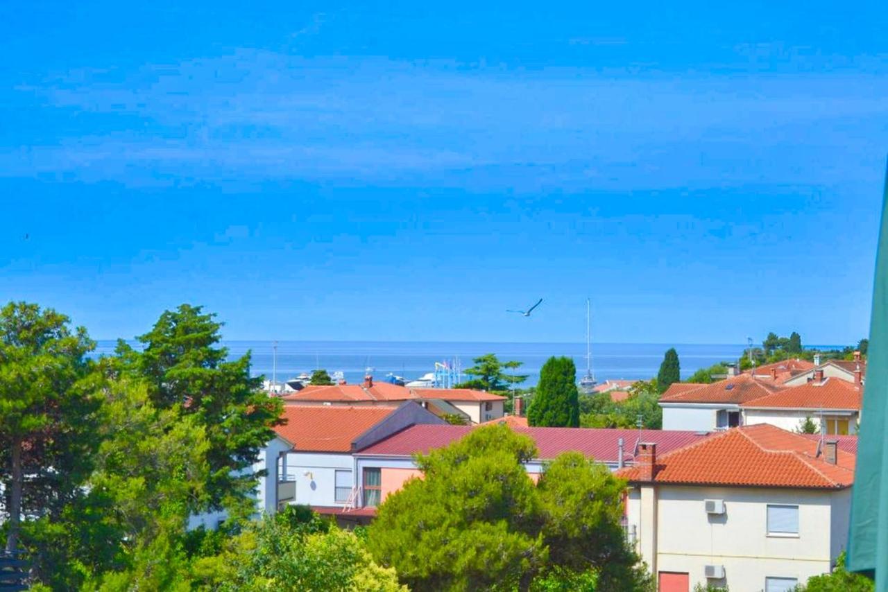 Apartment Panorama Punta *